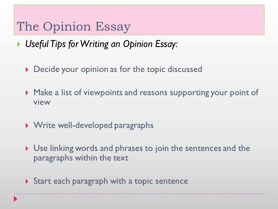 opinion essay free time